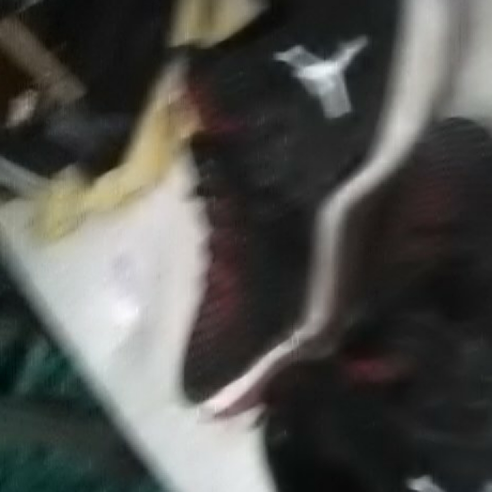 Nike air jordans